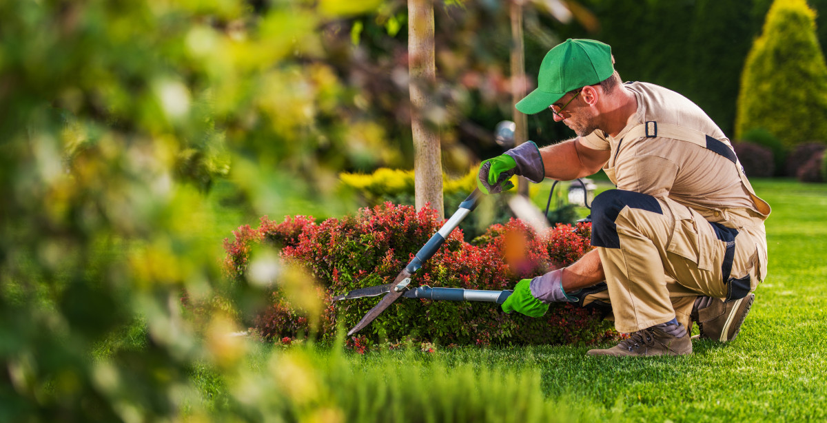 Augmentez la valeur de votre bien immobilier grâce à ces aménagements de jardin